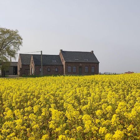 Spacious Holiday Home With Pond In Poperinge Roesbrugge-Haringe Exterior photo